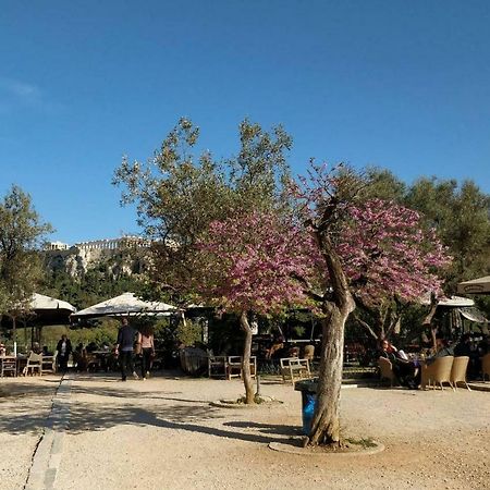 Athens Blossom House Under Acropolis With Private Entrance 外观 照片